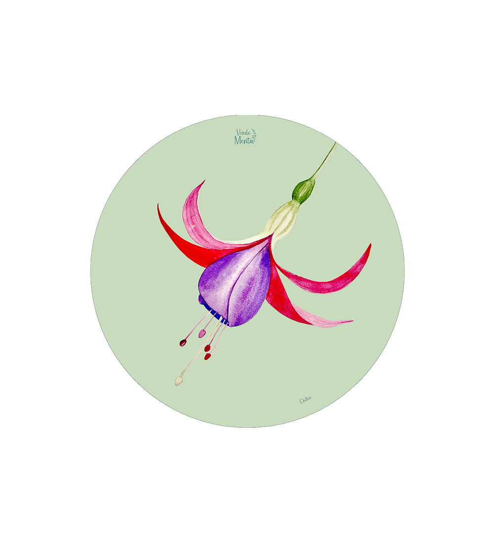 SET 6 INDIVIDUALES CHILCO REDONDO