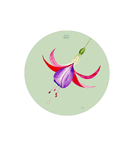 SET 6 INDIVIDUALES CHILCO REDONDO