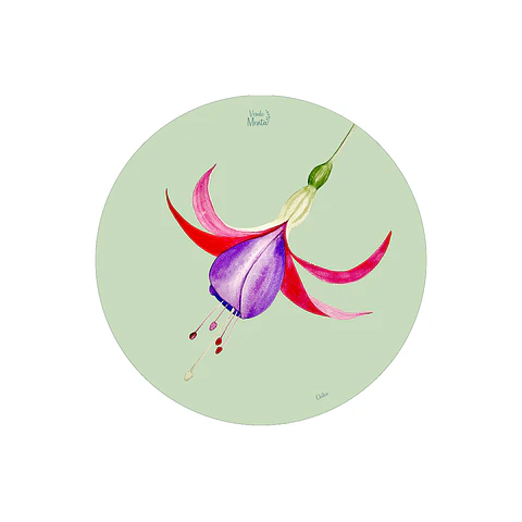 SET 6 INDIVIDUALES CHILCO REDONDO