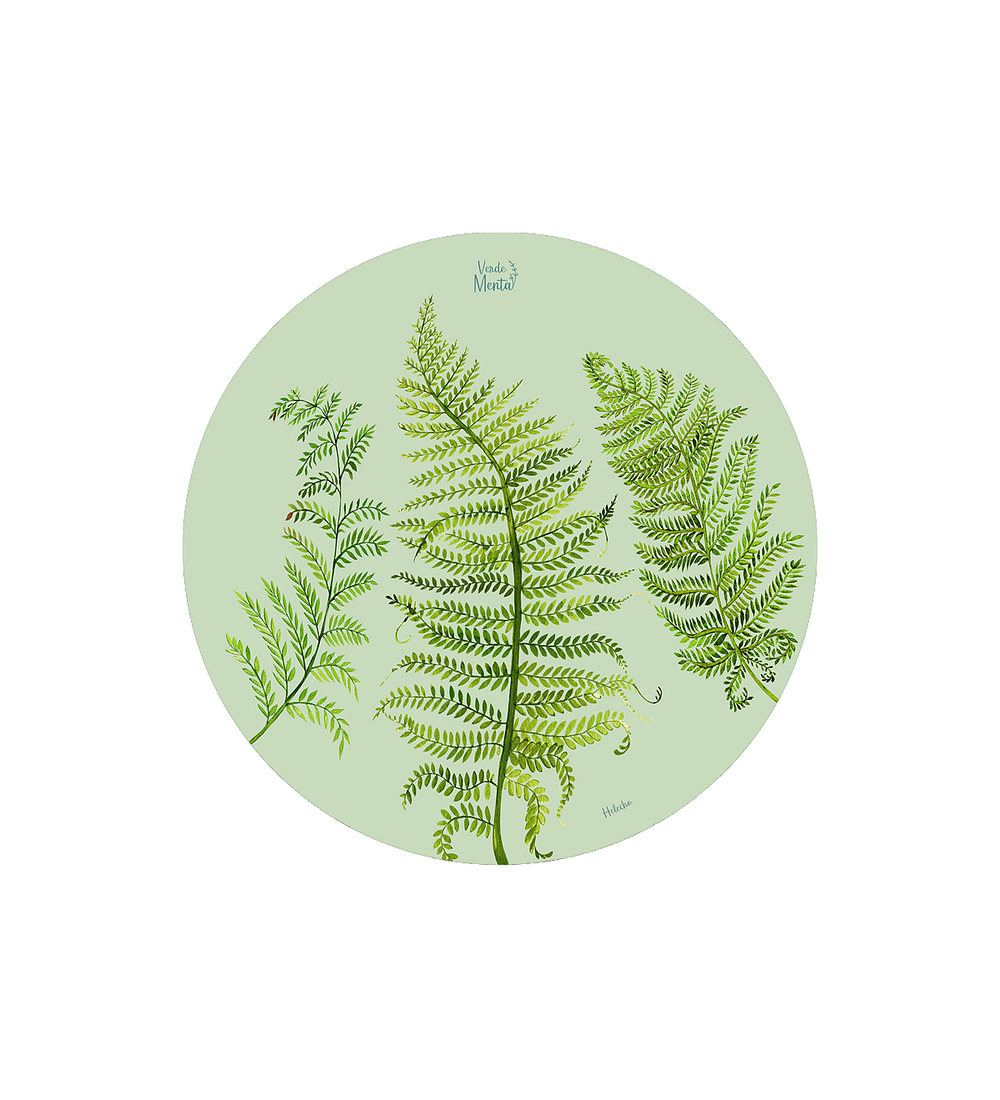 SET 6 INDIVIDUALES HELECHO REDONDO