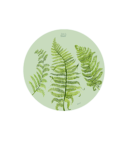 SET 6 INDIVIDUALES HELECHO REDONDO