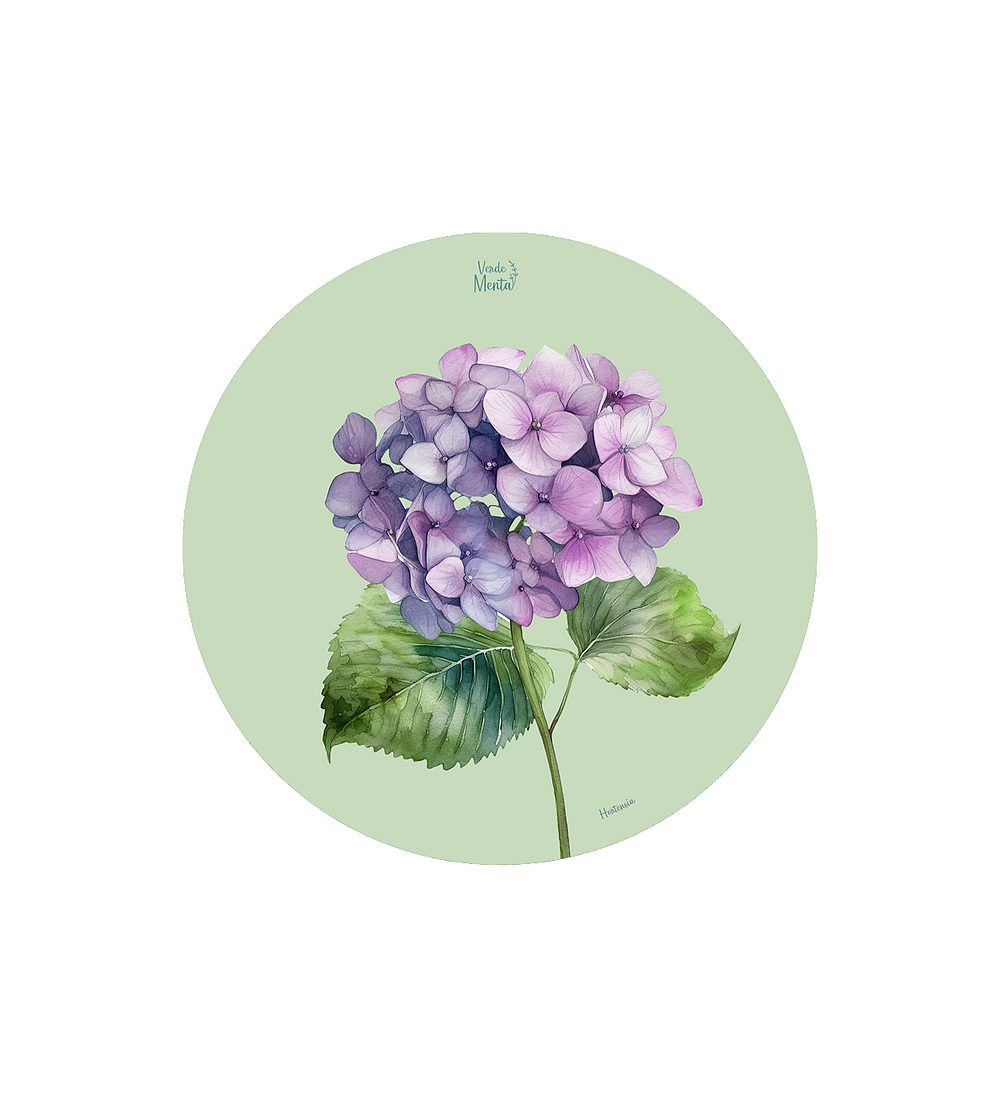 SET 6 INDIVIDUALES HORTENSIA REDONDO