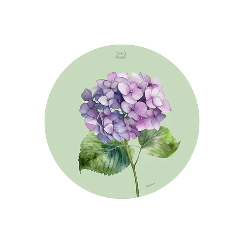 SET 6 INDIVIDUALES HORTENSIA REDONDO