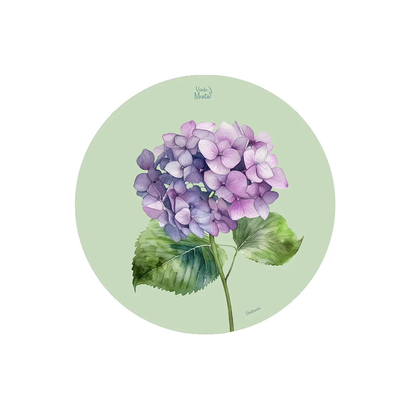 SET 6 INDIVIDUALES HORTENSIA REDONDO 1