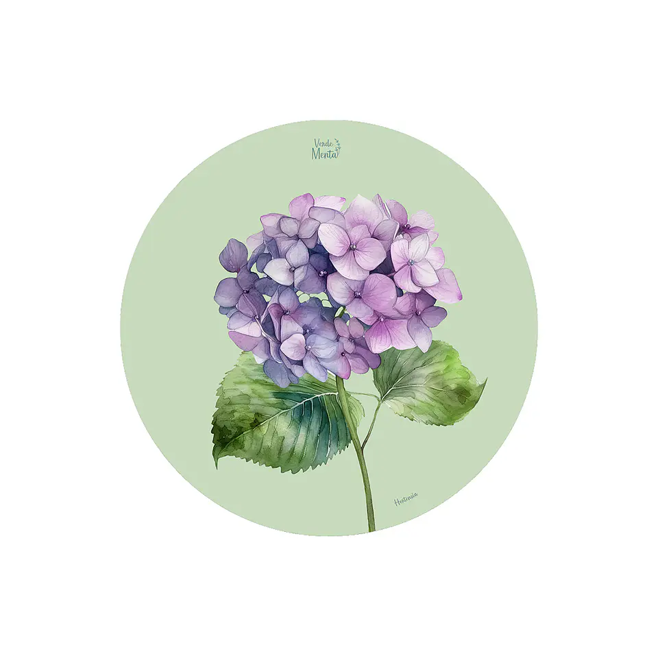SET 6 INDIVIDUALES HORTENSIA REDONDO 1