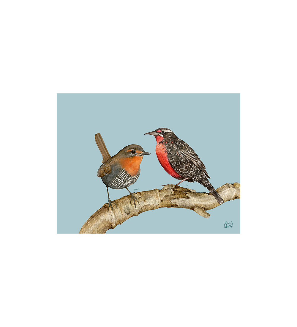 SET 8 INDIVIDUALES CHUCAO Y LOICA RECTANGULAR 32 X 42 CM