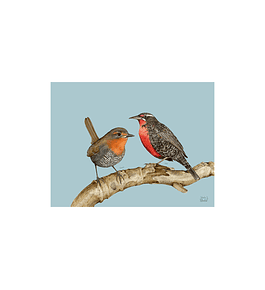 SET 8 INDIVIDUALES CHUCAO Y LOICA RECTANGULAR 32 X 42 CM