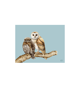 SET 8 INDIVIDUALES CHUNCHO Y LECHUZA RECTANGULAR 32 X 42 CM