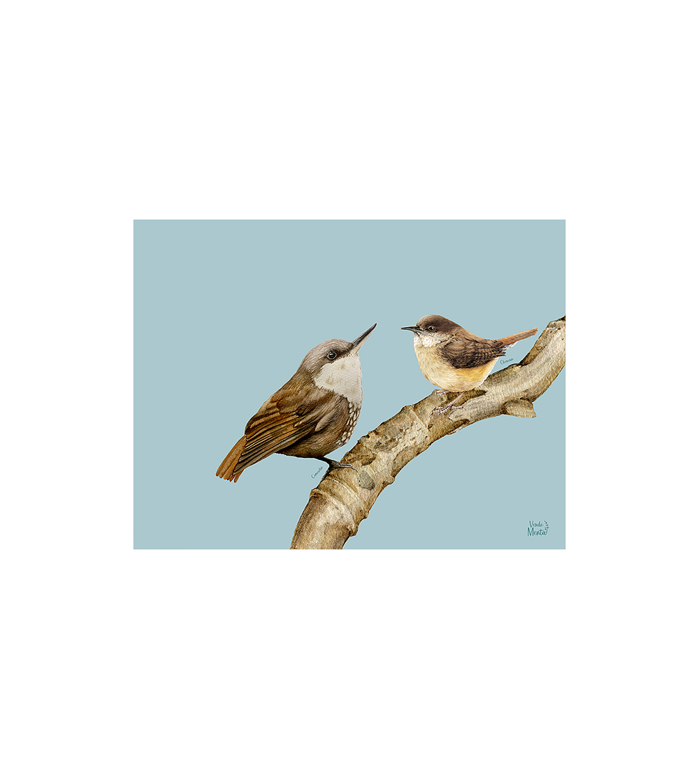 SET 8 INDIVIDUALES COMESEBO Y CHERCÁN RECTANGULAR 32 X 42 CM