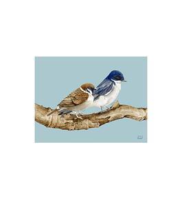 SET 8 INDIVIDUALES GOLONDRINA Y GORRIÓN RECTANGULAR 32 X 42 CM