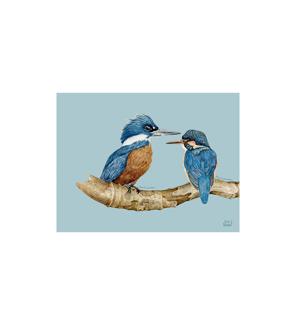 SET 8 INDIVIDUALES PAREJA DE MARTÍN PESCADOR RECTANGULAR 32 X 42 CM