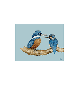 SET 8 INDIVIDUALES PAREJA DE MARTÍN PESCADOR RECTANGULAR 32 X 42 CM