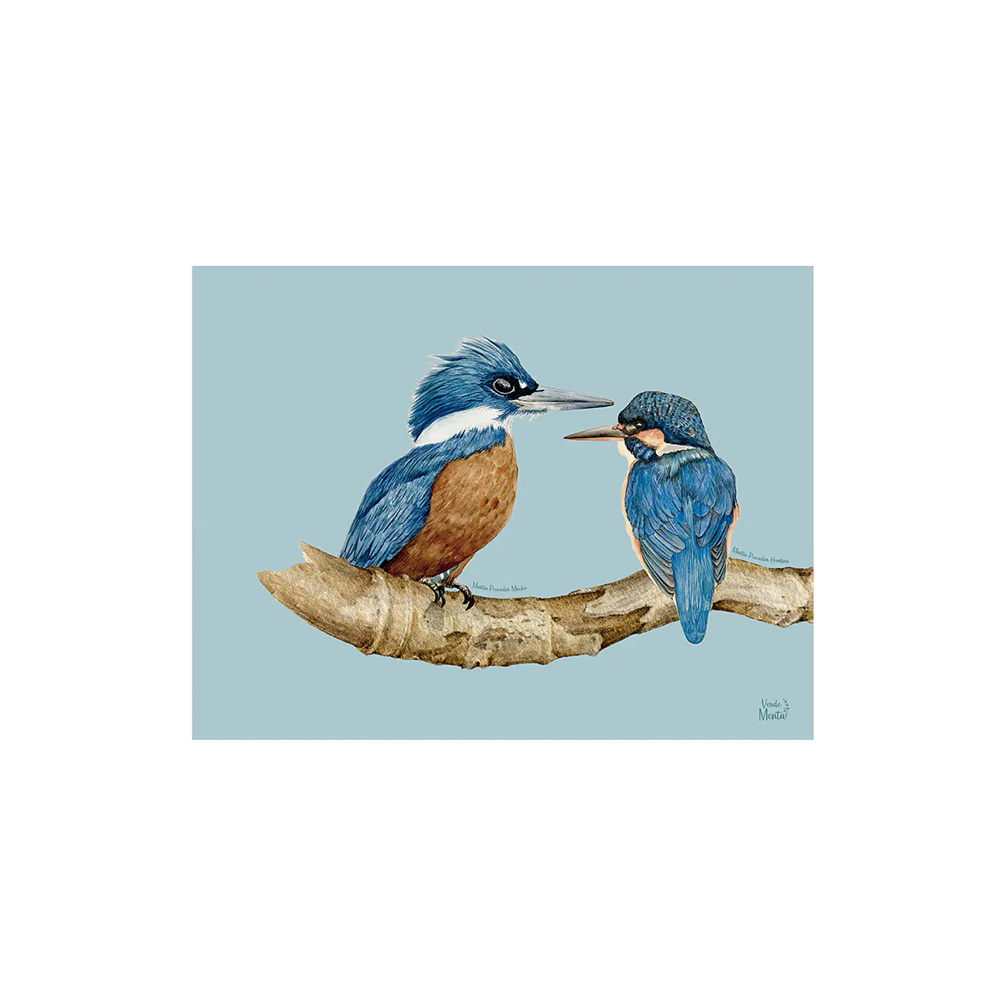 SET 8 INDIVIDUALES PAREJA DE MARTÍN PESCADOR RECTANGULAR 32 X 42 CM 1