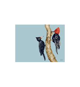 SET 8 INDIVIDUALES PAREJAS DE CARPINTEROS RECTANGULAR 32 X 42 CM