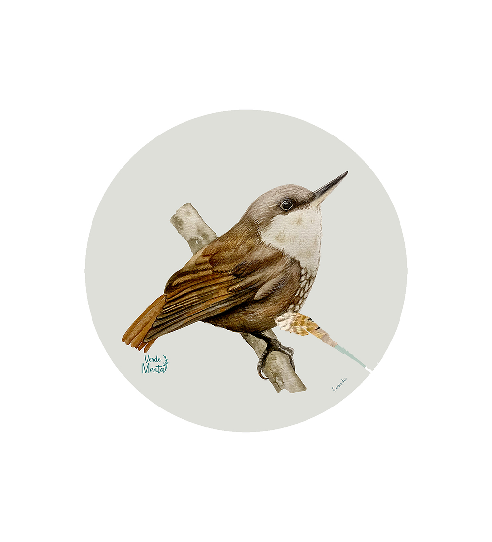 SET DE 6 INDIVIDUALES COMESEBO REDONDO