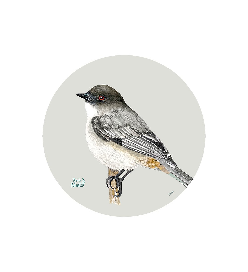 SET DE 6 INDIVIDUALES DIUCÓN REDONDO