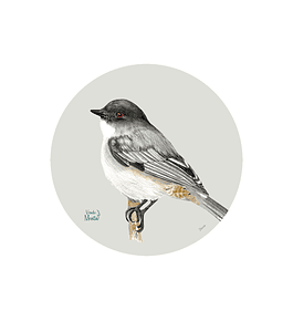 SET DE 6 INDIVIDUALES DIUCÓN REDONDO