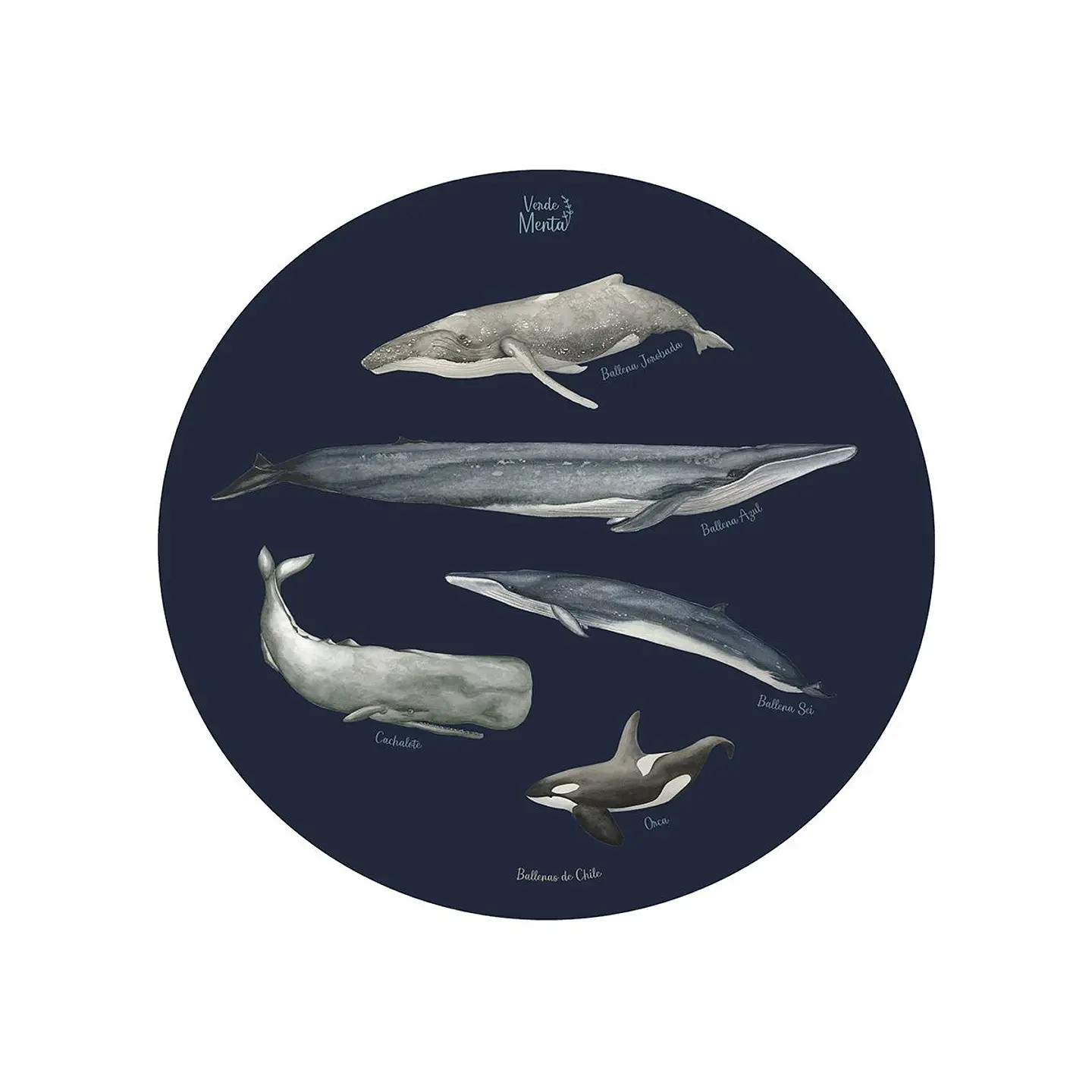 SET DE 6 INDIVIDUALES BALLENAS DE CHILE REDONDO 1