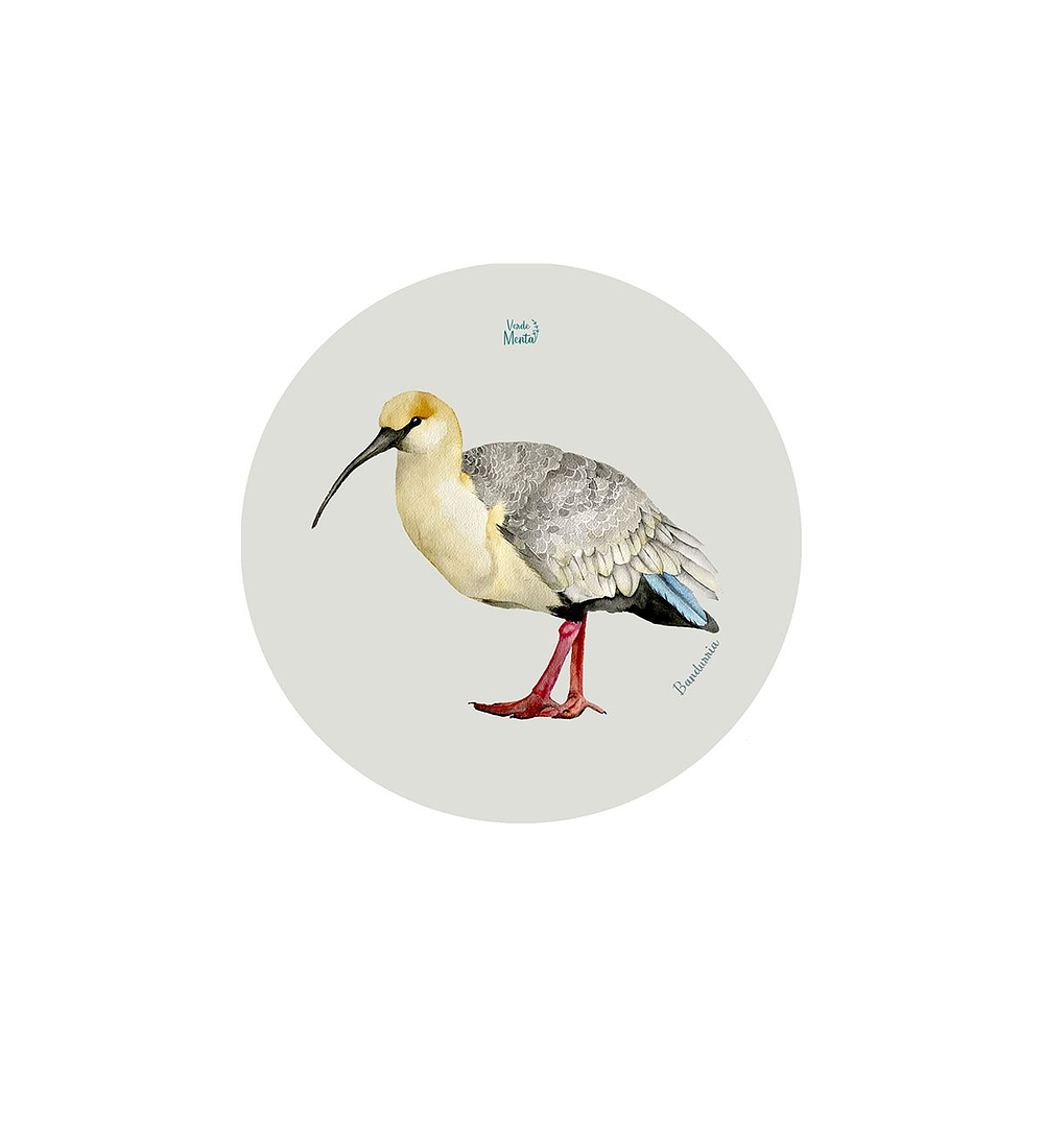 Set 12 Posavasos Redondos Bandurria