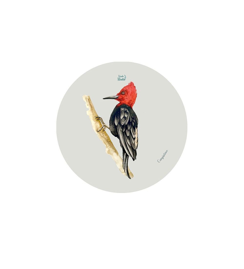 Set 12 Posavasos Redondos Carpintero