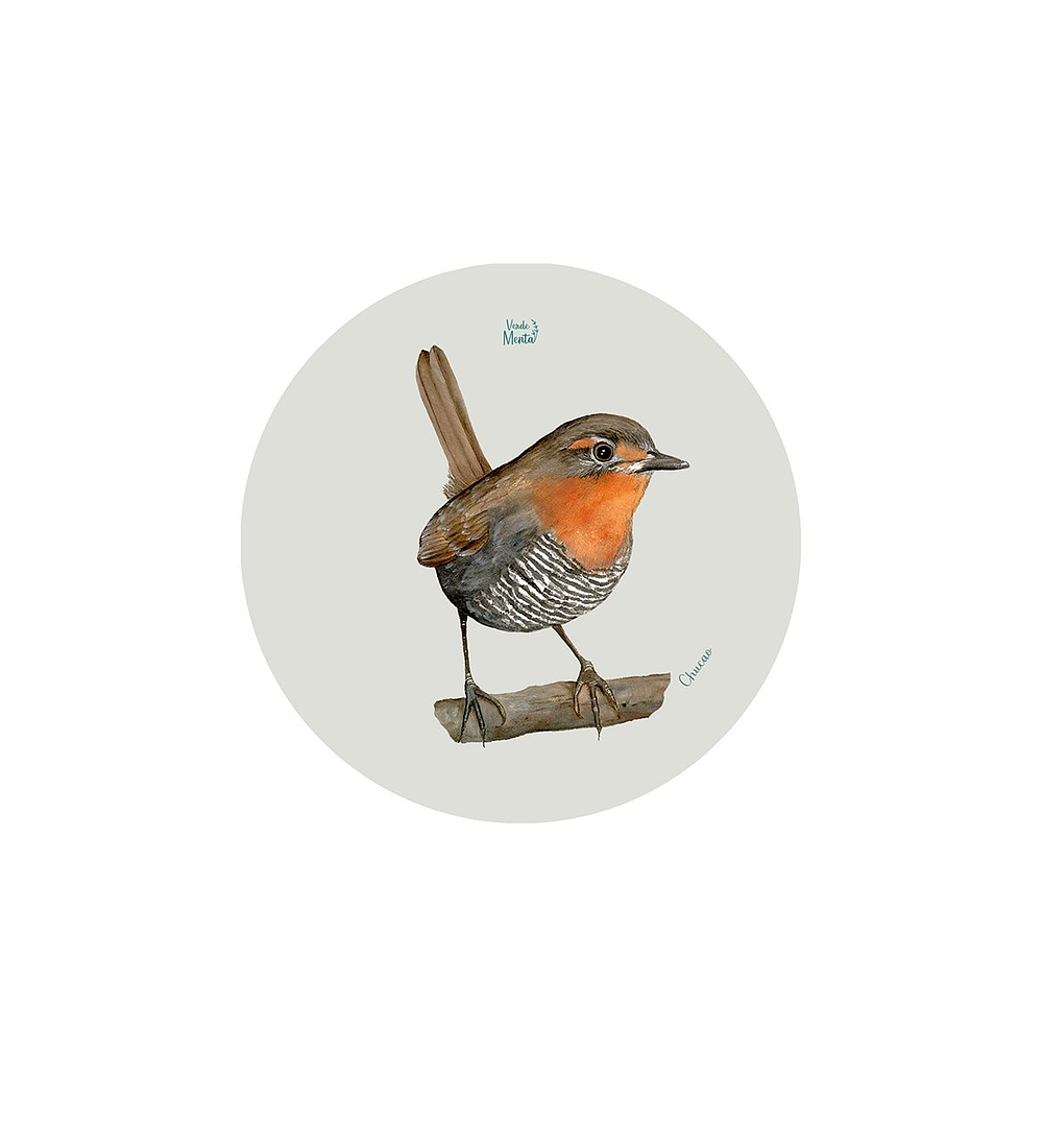 Set 12 Posavasos Redondos Chucao