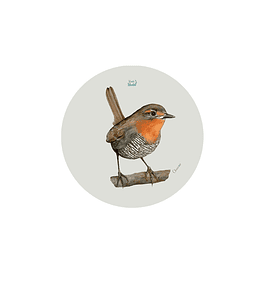 Set 12 Posavasos Redondos Chucao