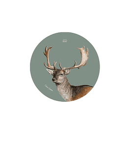 Set 12 Posavasos Redondos Ciervo Dama