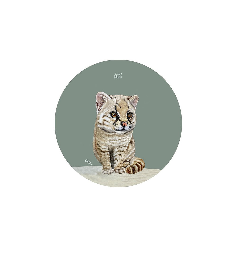 Set 12 Posavasos Redondos Güiña