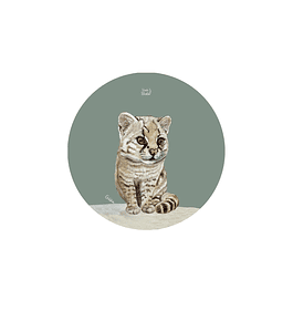 Set 12 Posavasos Redondos Güiña