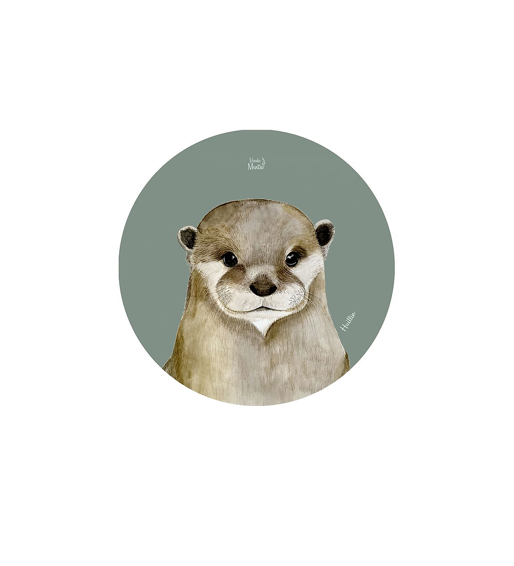 Set 12 Posavasos Redondos Huillín