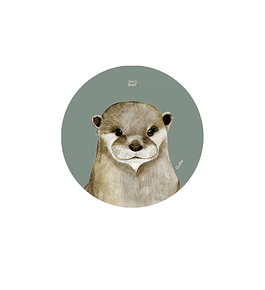 Set 12 Posavasos Redondos Huillín