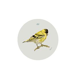 Set 12 Posavasos Redondos Jilguero