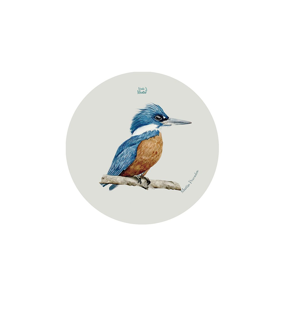Set 12 Posavasos Redondos Martín Pescador