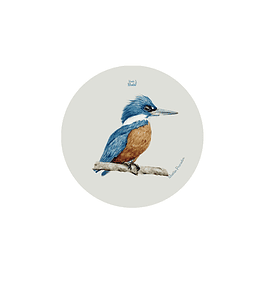 Set 12 Posavasos Redondos Martín Pescador