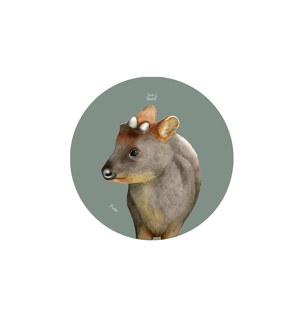 Set 12 Posavasos Redondos Pudú