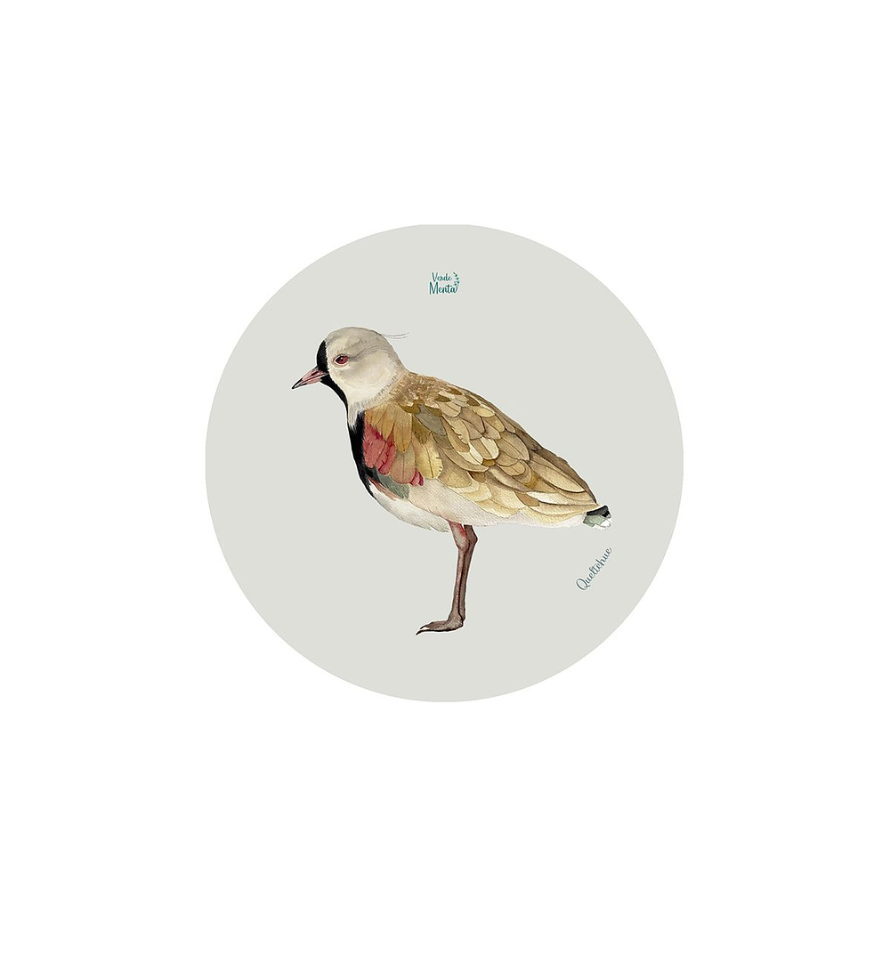 Set 12 Posavasos Redondos Queltehue