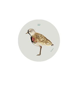 Set 12 Posavasos Redondos Queltehue