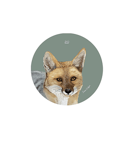 Set 12 Posavasos Redondos Zorro Culpeo