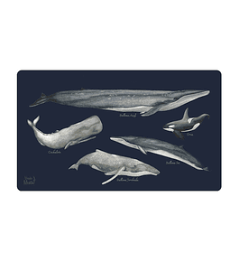 OFFICE PAD BALLENAS DE CHILE 40 x 70 cm
