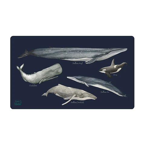 OFFICE PAD BALLENAS DE CHILE 40 x 70 cm