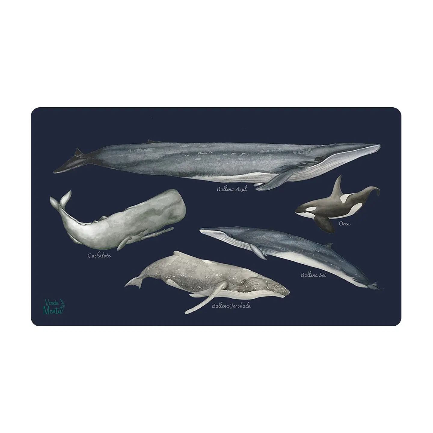 OFFICE PAD BALLENAS DE CHILE 40 x 70 cm 1