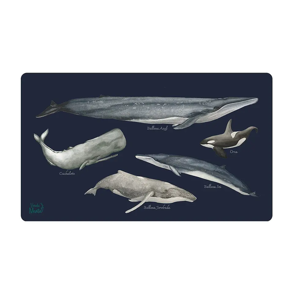 OFFICE PAD BALLENAS DE CHILE 40 x 70 cm 1