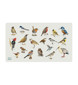 OFFICE PAD ANIMALES MIX DE PAJARITOS 40 x 70 cm