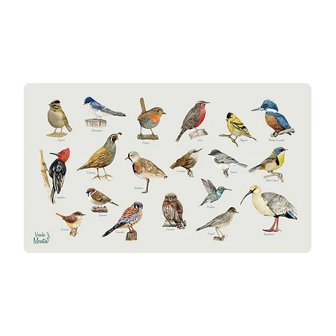 OFFICE PAD ANIMALES MIX DE PAJARITOS 40 x 70 cm