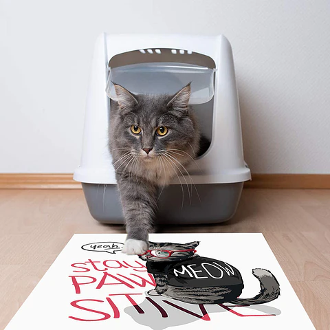LOOK BACK CAT 70 X 70 CM - Outlet
