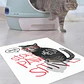 LOOK BACK CAT 70 X 70 CM - Outlet - Miniatura 3