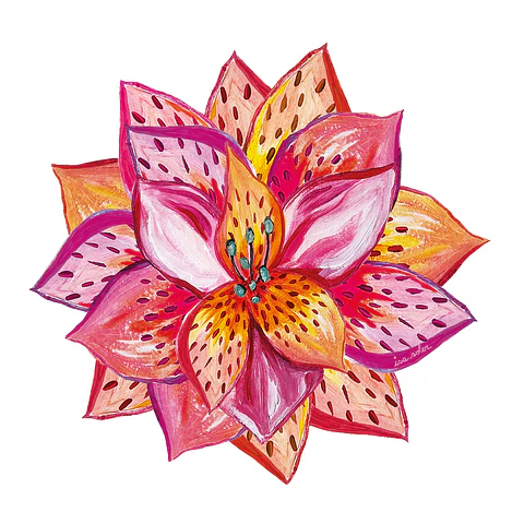 SET 6 INDIVIDUAL ASTROMELIA