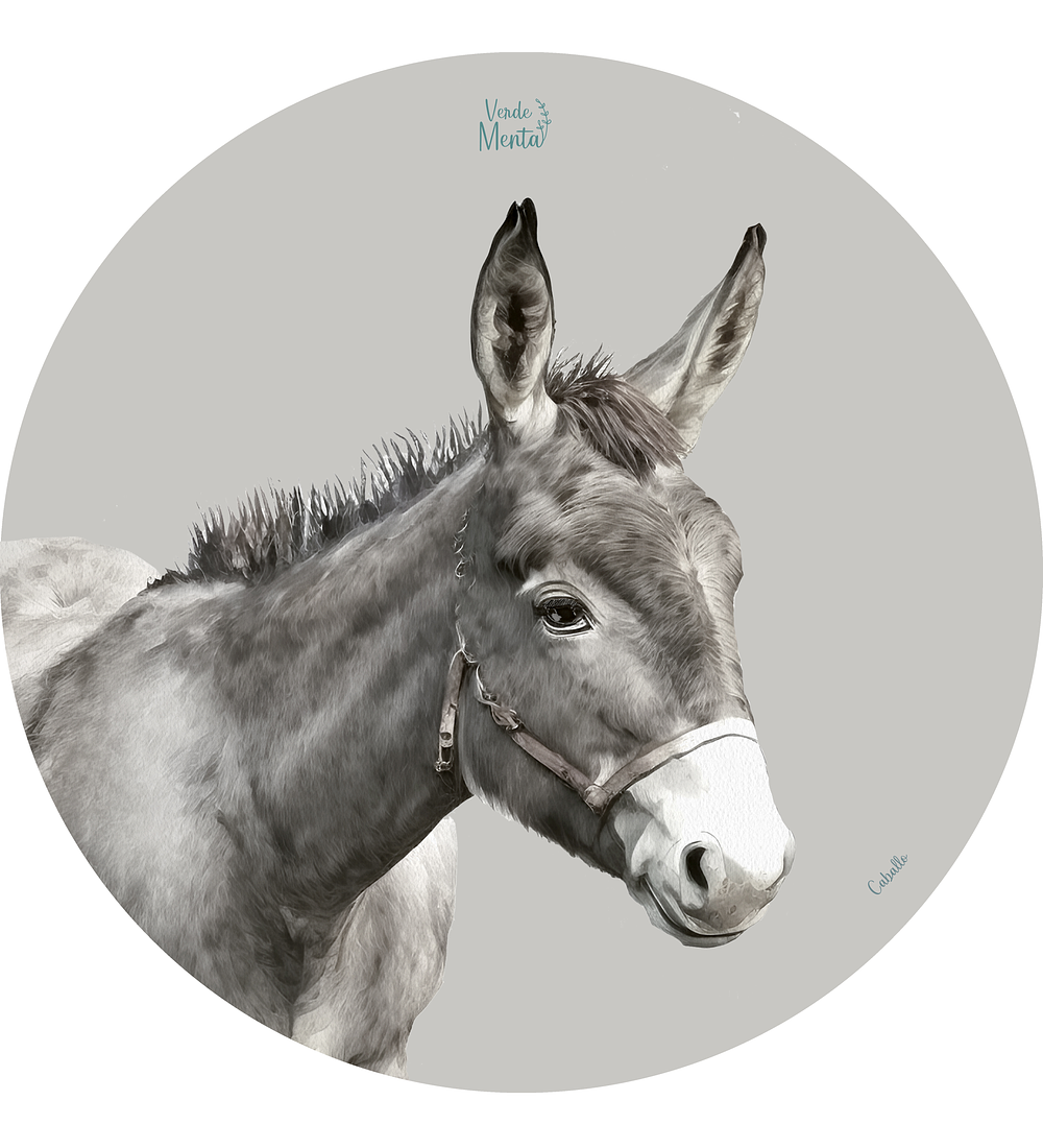 Set 6 individuales Burro Redondo 37 x 37 cm