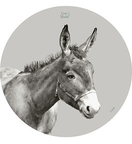 Set 6 individuales Burro Redondo 37 x 37 cm