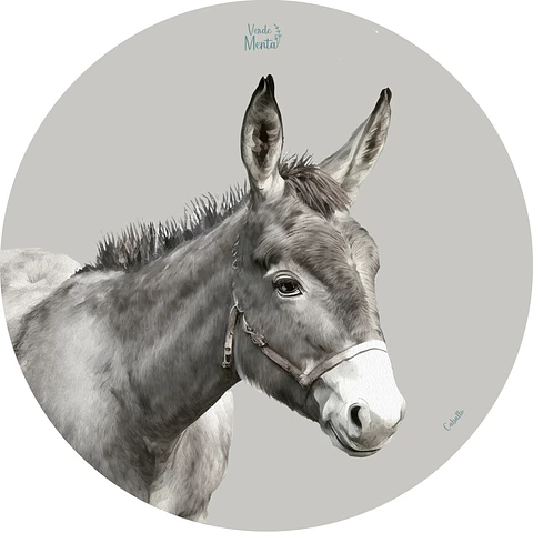 Set 6 individuales Burro Redondo 37 x 37 cm - COPY